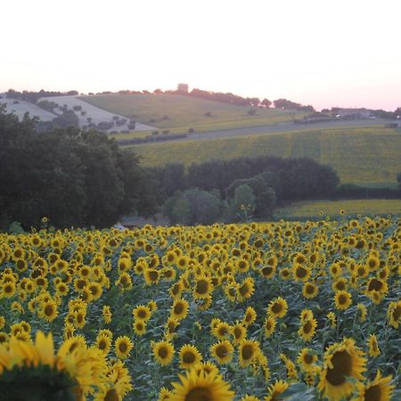 Agriturismo I Ciliegi Appartamento Ginestra Montignano 外观 照片