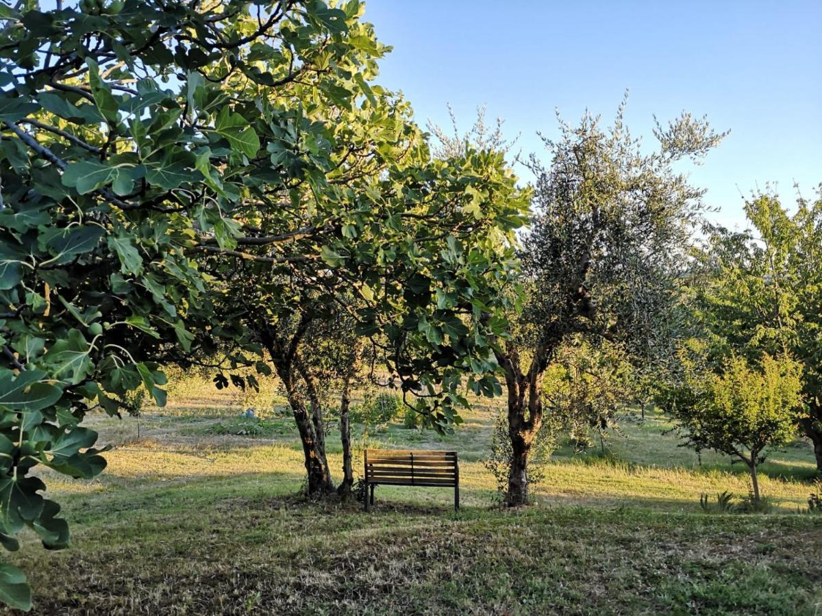 Agriturismo I Ciliegi Appartamento Ginestra Montignano 外观 照片