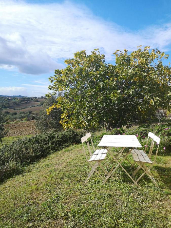 Agriturismo I Ciliegi Appartamento Ginestra Montignano 外观 照片