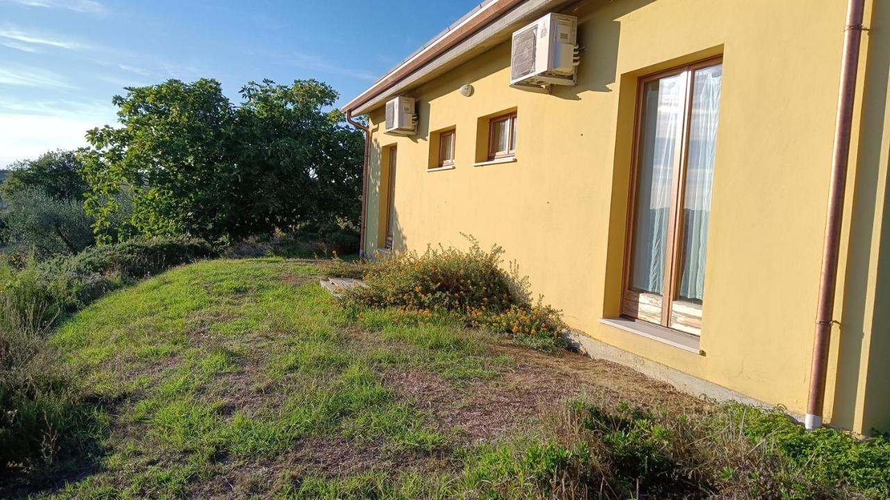 Agriturismo I Ciliegi Appartamento Ginestra Montignano 外观 照片