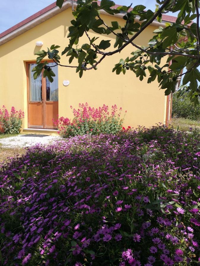 Agriturismo I Ciliegi Appartamento Ginestra Montignano 外观 照片